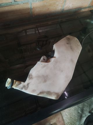 Tanque de aceite yamaha jog