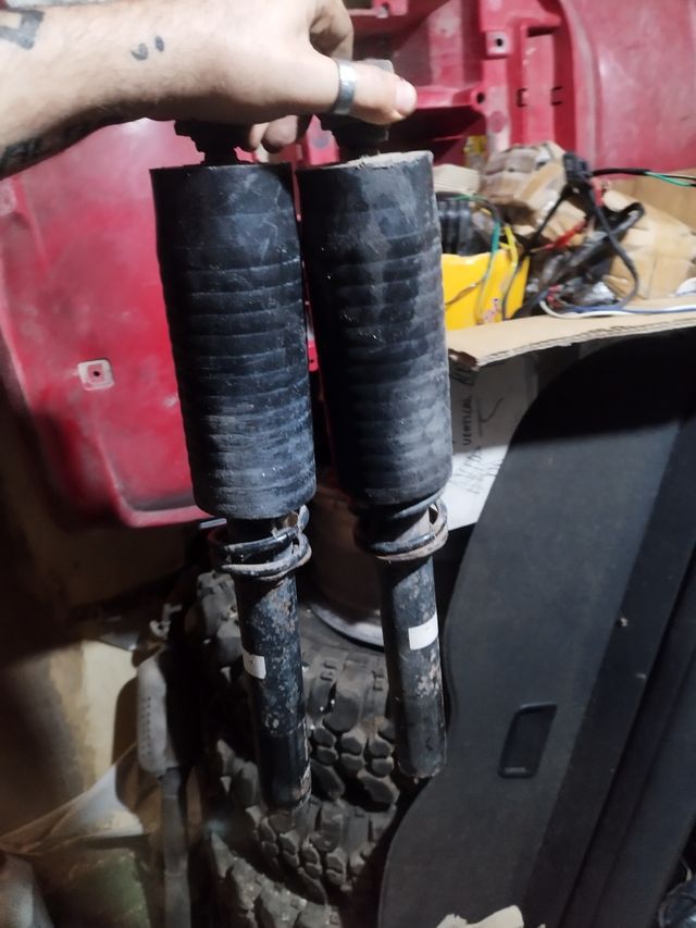 Kawasaki brute force