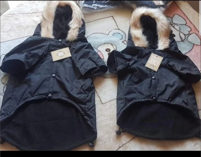 Chaqueta  de perro