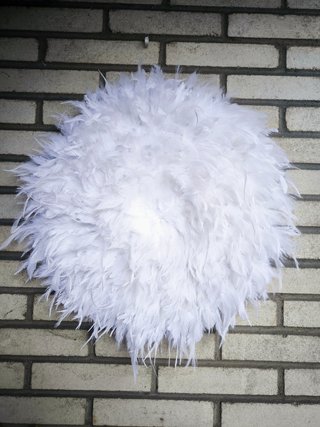 Jujuhat blanco