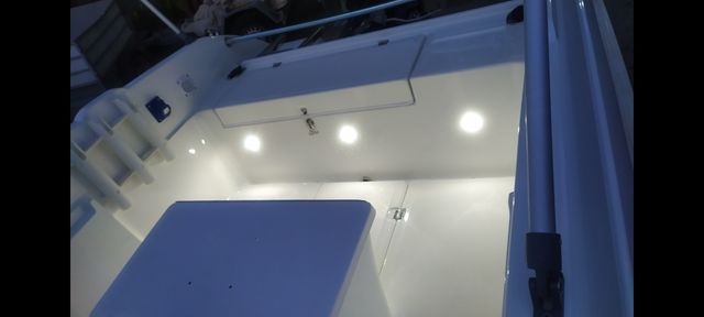 Barco, motor y remolque