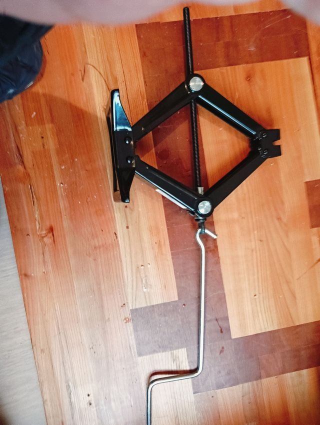 GATO DE TIJERA A ESTRENAR 