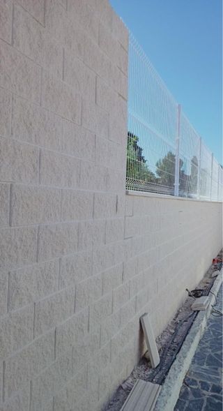 Paleta oficial de primera