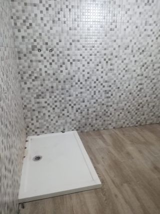 Paleta oficial de primera