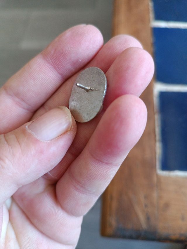 Pin insignia cuerpo nacional de seg