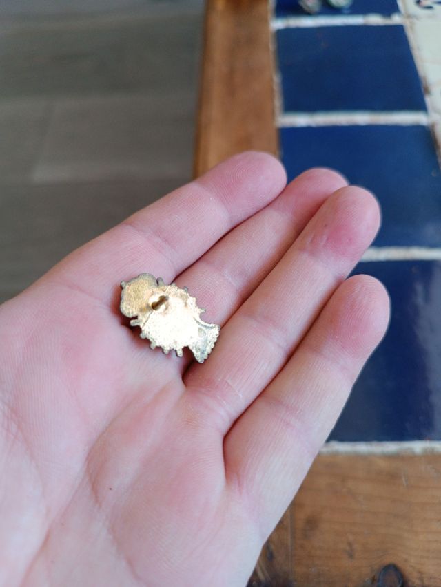 Pin insignia militar cuerpo nacional de