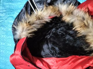 Chaqueta Geographical Norway