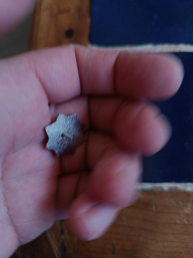 Cuerpo nacional de seguridad y militar