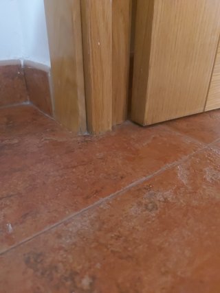 Puertas