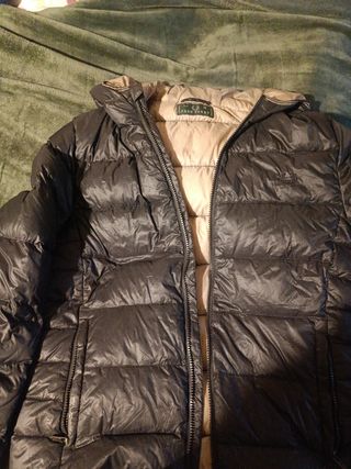 Plumas  fred Perry talla M