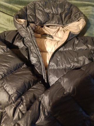 Plumas  fred Perry talla M