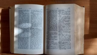 Vocabolario greco-italiano La Magna