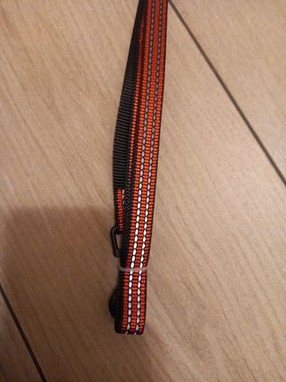 Guinzaglio per cani 