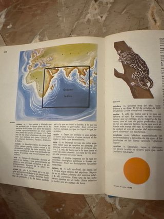 Diccionario Ilnantil Ilustrado