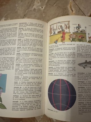 Diccionario Ilnantil Ilustrado