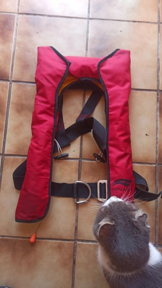 Chaleco salvavidas