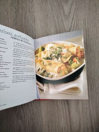 COCINA VEGETARIANA.(MINILIBROS)