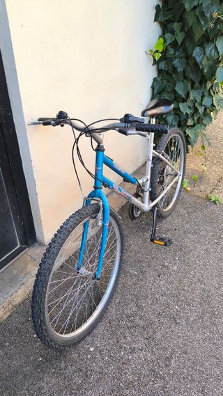 Bicicleta de mujer