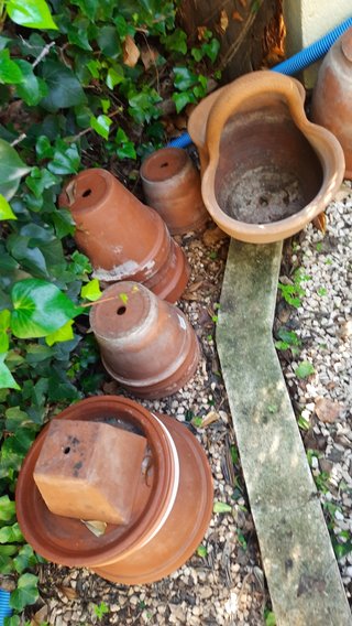 Macetas de terracota usadas