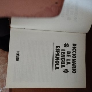 Diccionario Lengua Española