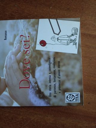 Libro romanzo "Dove sei?" Mark Levy