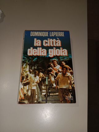 La città della gioia 