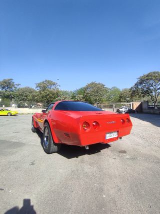 Chevrolet Corvette 1981