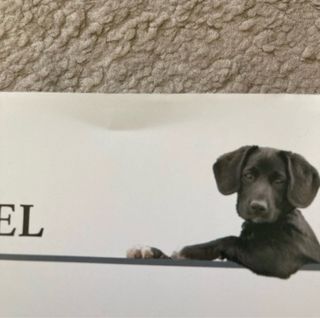 Enciclopedia Del Cane