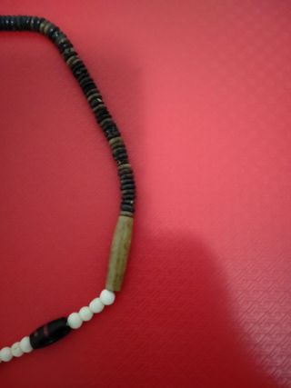 Collana dente di squalo nuova