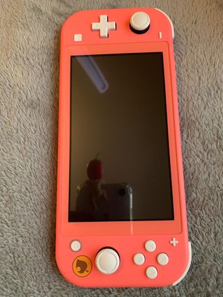 Nintendo switch lite 