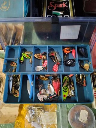 lote pesca