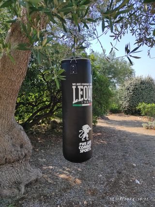 Sacco da box 30kg Leone