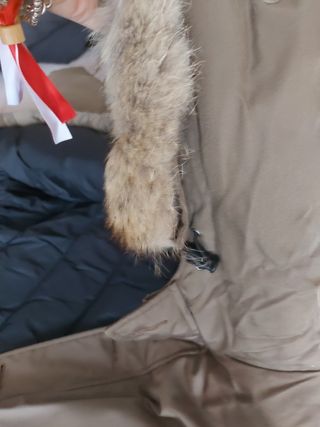 Woolrich