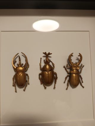 Cuadro escarabajos dorados.