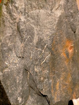 Piedra grande para acuario