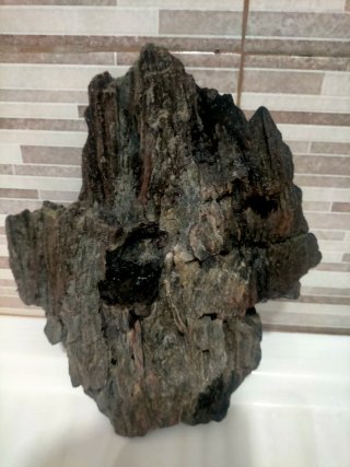 Piedra grande para acuario *Regalo* otra piedra!
