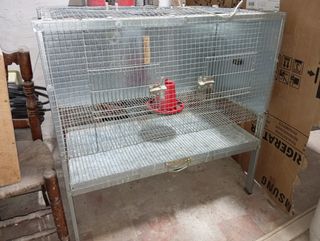 Jaula criadora de pollitos