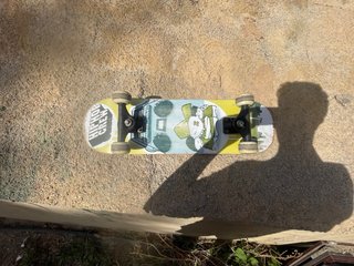 Skate oxelo