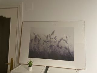 Lamina cuadro ikea