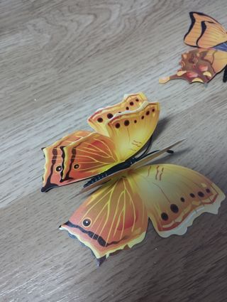 Mariposas