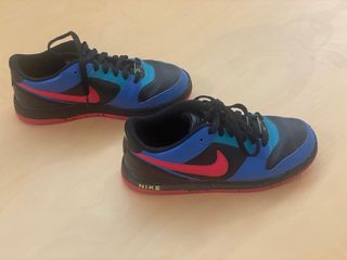 Zapatillas Nike Dunk Low Special Edition