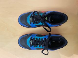 Zapatillas Nike Dunk Low Special Edition