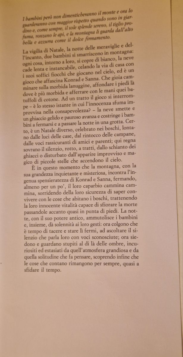 Cristallo di rocca Granito