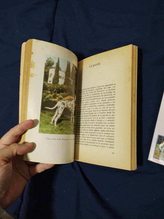 📚🐾 2 libros razas caballos y dalmatas