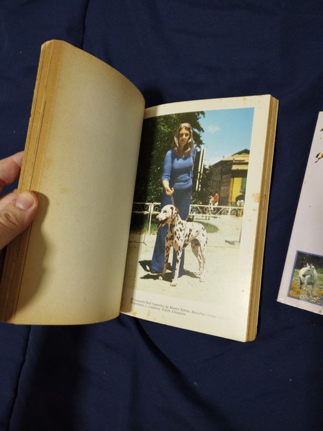 📚🐾 2 libros razas caballos y dalmatas