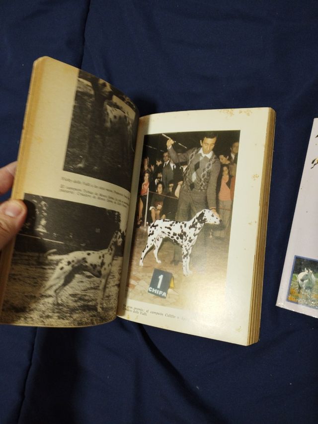 📚🐾 2 libros razas caballos y dalmatas