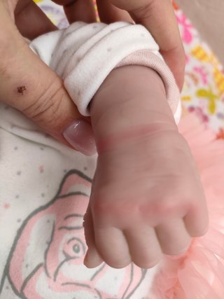 Bebes Reborn