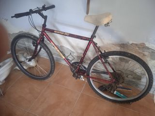 Bicicleta