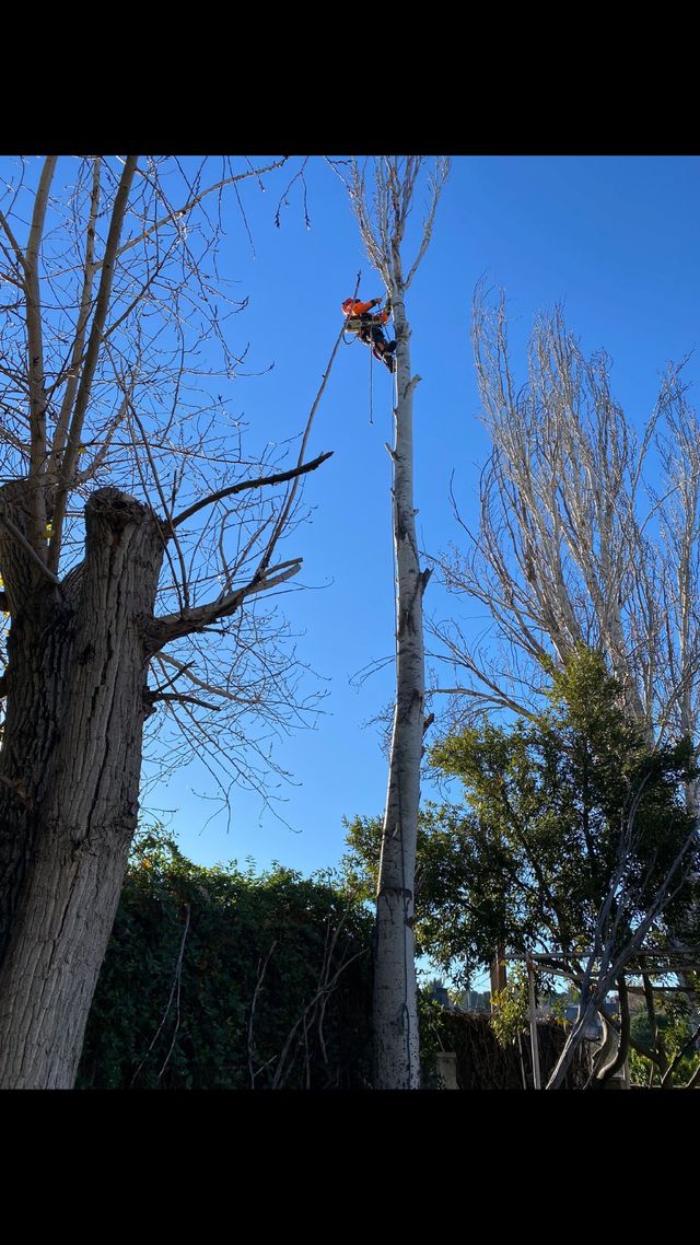 Riego automático en tu jardín económico