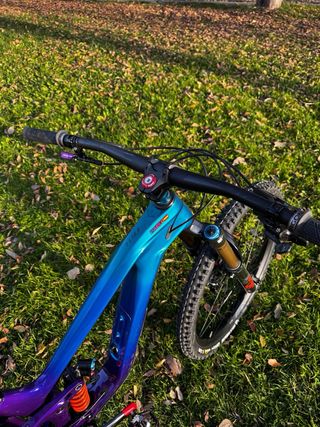 GIANT REING 2025 LIMITED